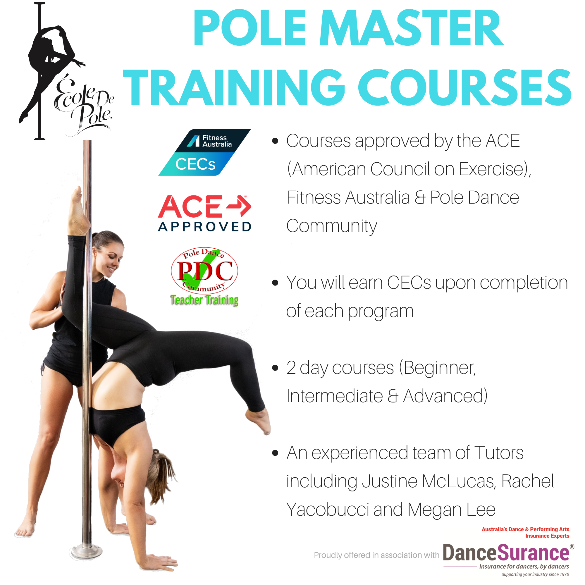 Instructor Training - Face to Face - Ecole De Pole Cleveland